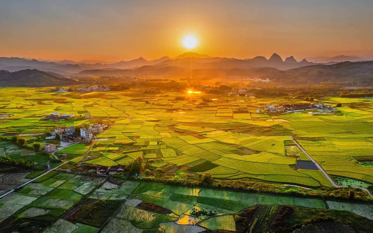 乡村振兴与现代农业